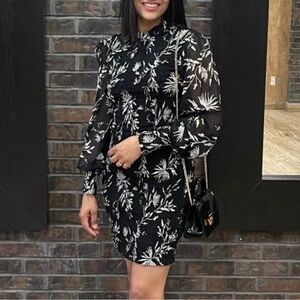 Dynamite black and white long sleeve sheer dress